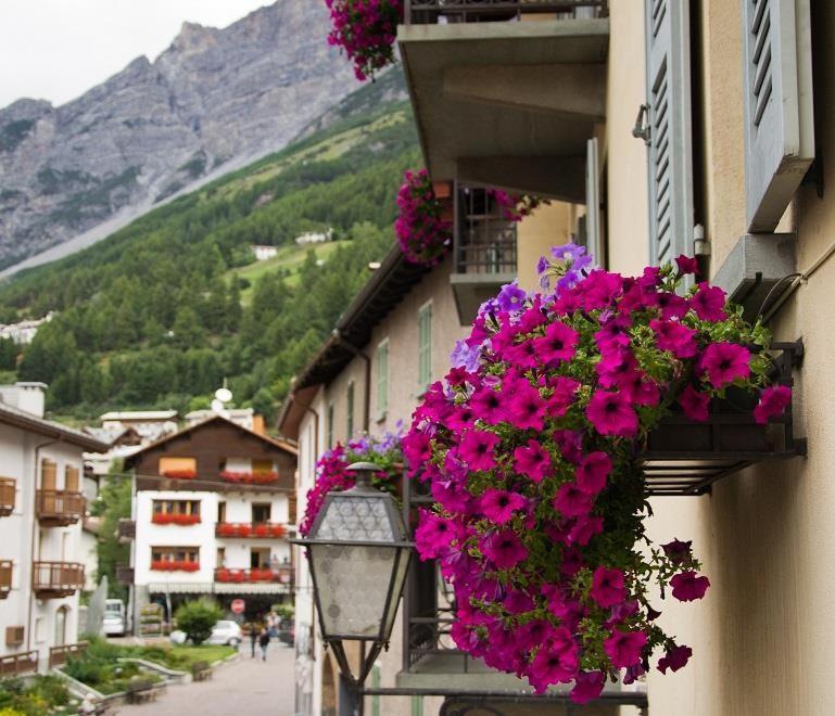 Meublé Albergo Dante Bormio Exterior foto